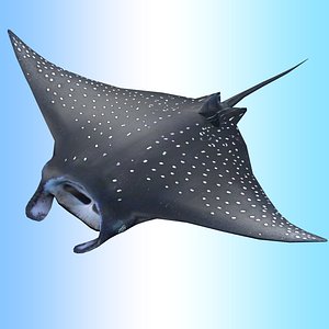 Manta Ray Rigged
