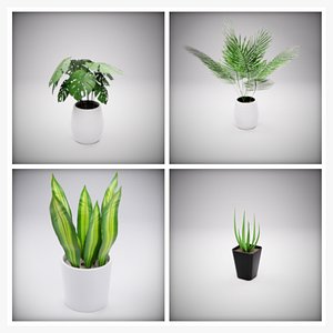 Modern Indoor Plant Bundle 3D model