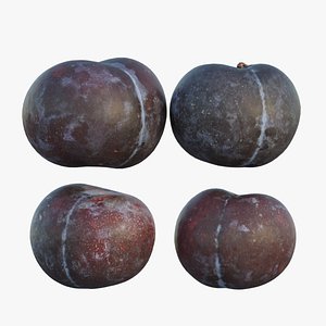 Purple plum 02 3D model
