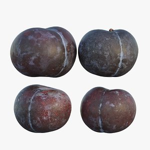Purple plum 02