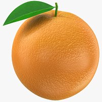 Orange Fruit