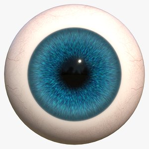 Realistic Human Eye 3D model
