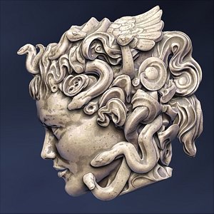Medusa Head sculpture