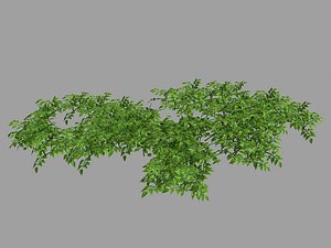 3D plants - mixed flowers