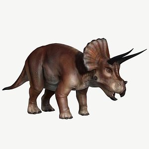 Triceratops