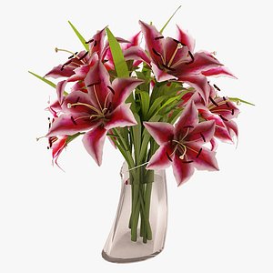 max beautiful lily flower pink