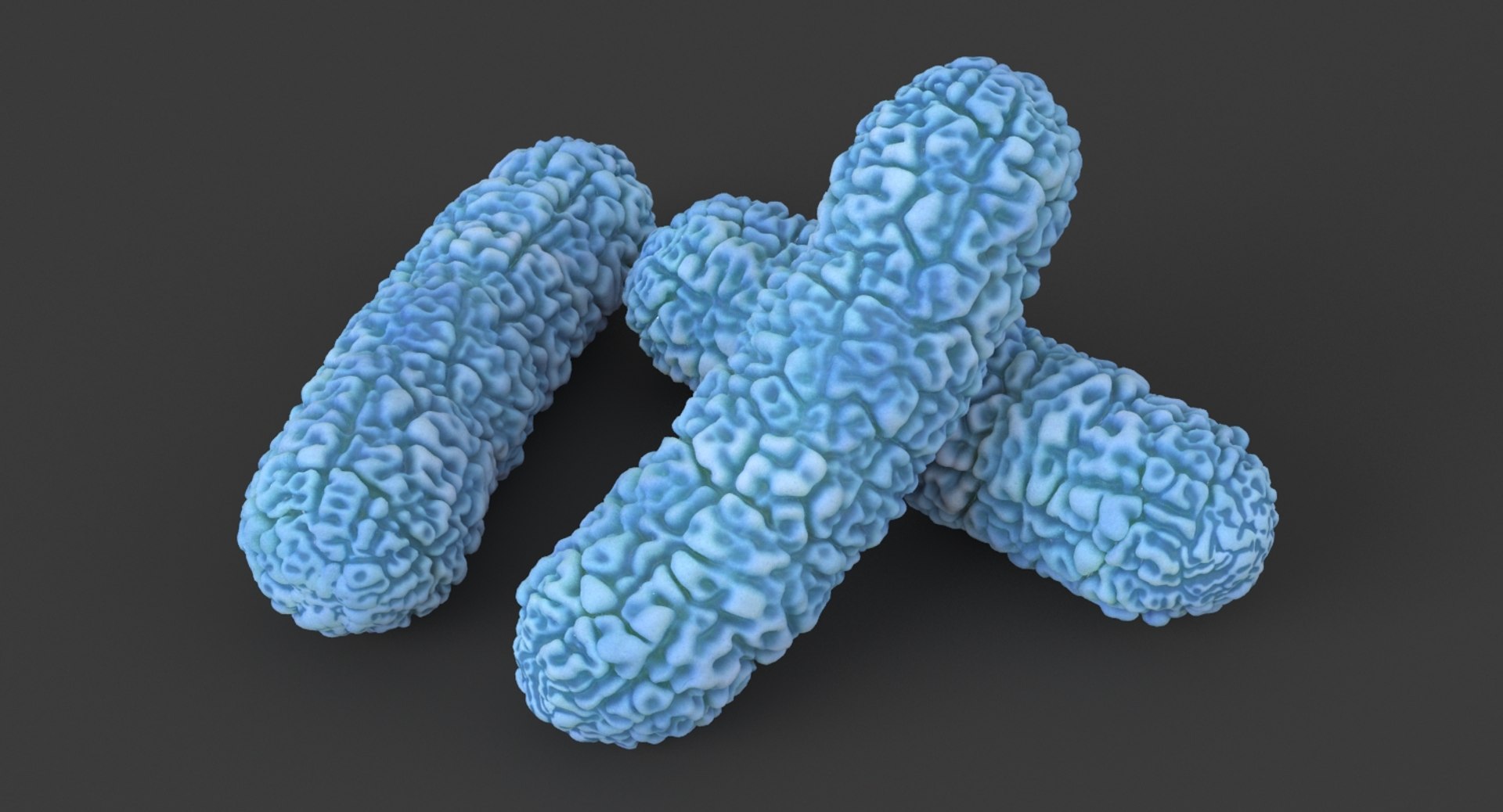 burkholderia cepacia bacteria model https://p.turbosquid.com/ts-thumb/rj/yiD4CC/zCs0s9LV/burkholderia_cepacia_bacteria_context/jpg/1528790942/1920x1080/fit_q87/b5e53c0c5963a7b802040429d34c3b0b00a17b59/burkholderia_cepacia_bacteria_context.jpg