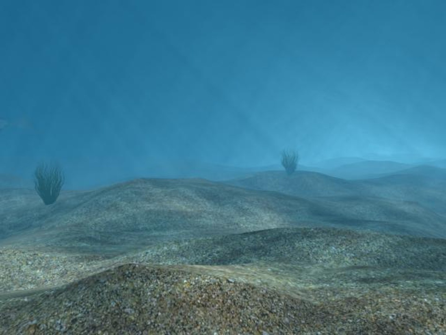 underwater caustics 3d model