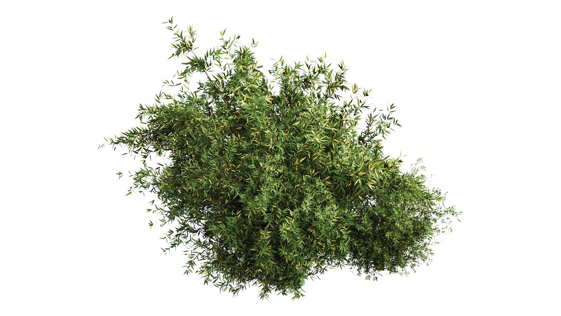 Natural Topiary Bush 3D Model - TurboSquid 2295828