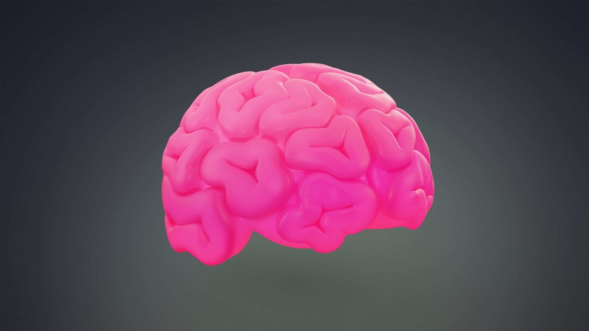 3D cute cartoon brain - TurboSquid 1519407