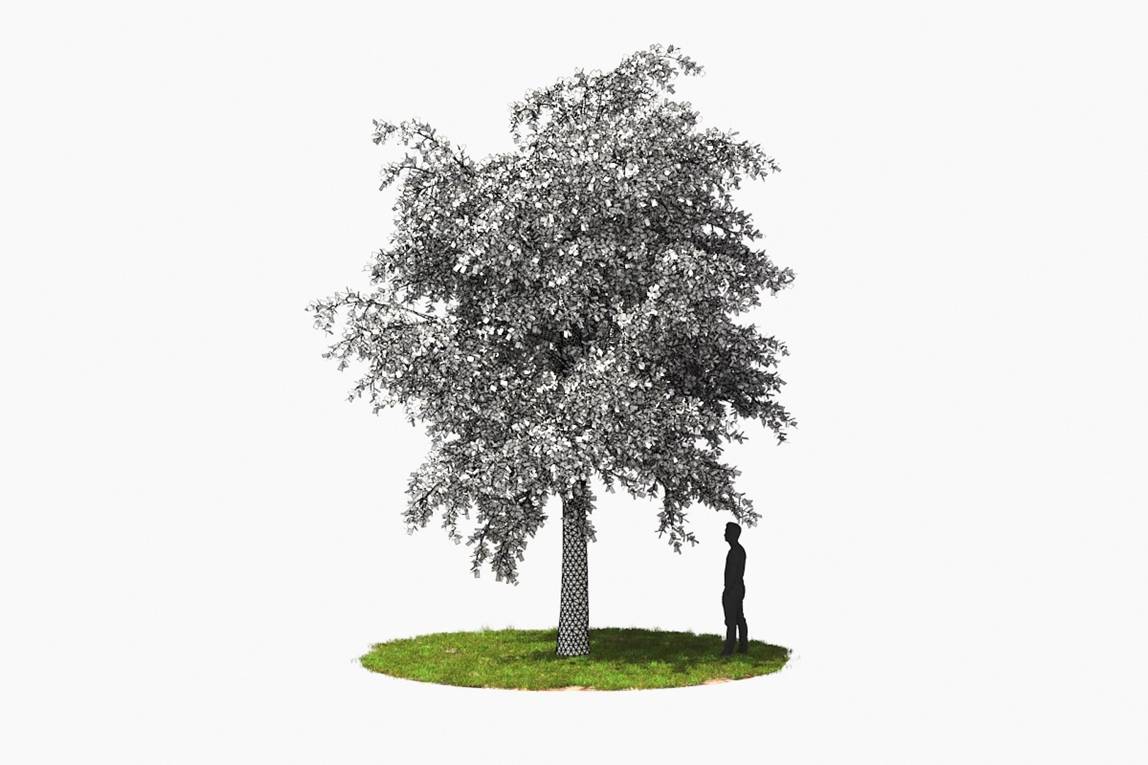 3D tree animation model - TurboSquid 1483590