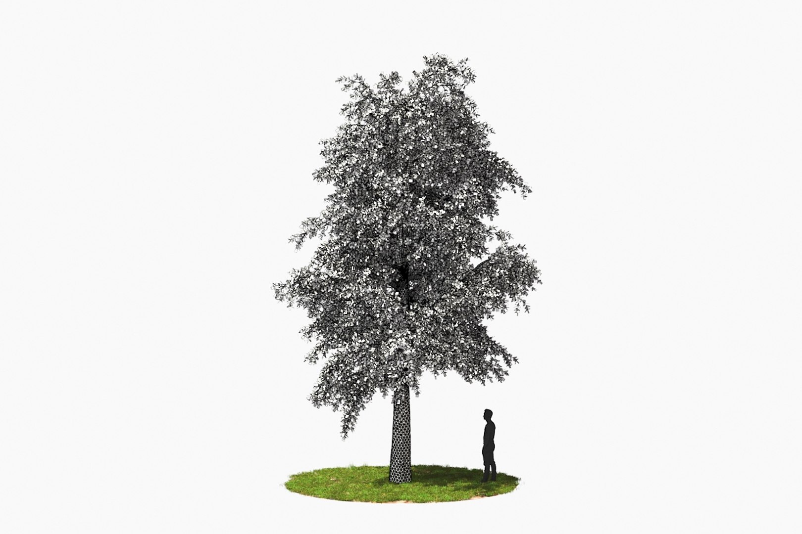 3D tree animation model - TurboSquid 1483590