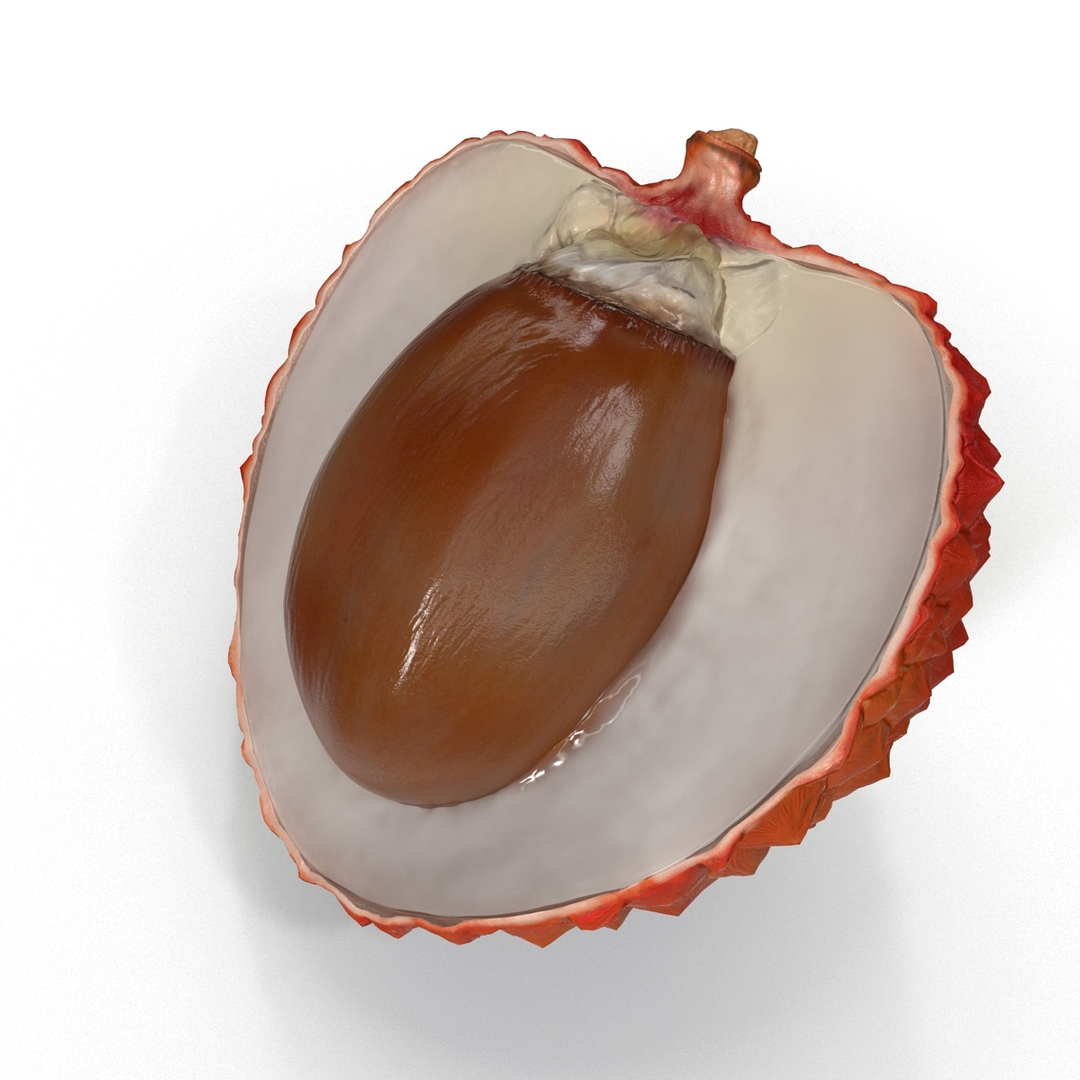 Lychee Fruit 3d Model