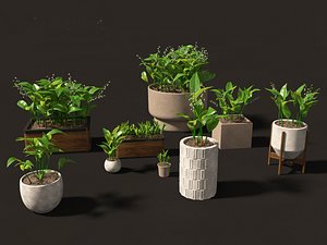 3D Convallaria majalis - lily-of-the-valley 02 model