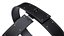 Female Chastity Belt