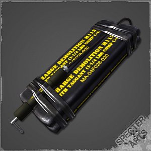 M112 C4 Charge