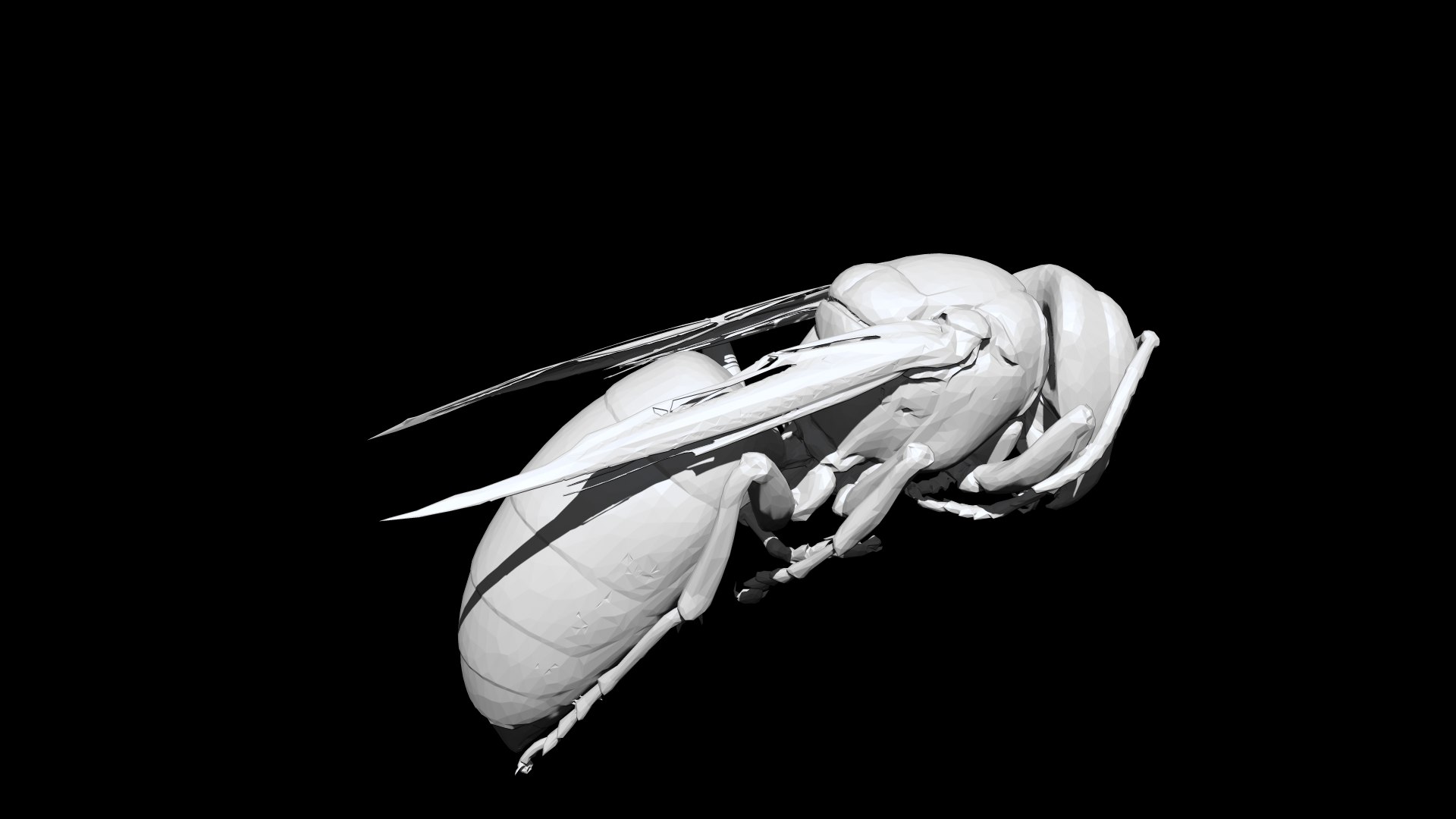 3D Wasp 3D CT scan model decimate 5 percent - TurboSquid 1965533