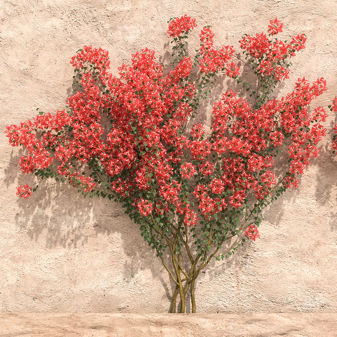 set bougainvillea 2 max https://p.turbosquid.com/ts-thumb/rl/RJPK8V/CJ1f9us7/14/jpg/1468197255/1920x1080/fit_q87/fe489f41263af89cdf5a1a143965e50de586ad2f/14.jpg