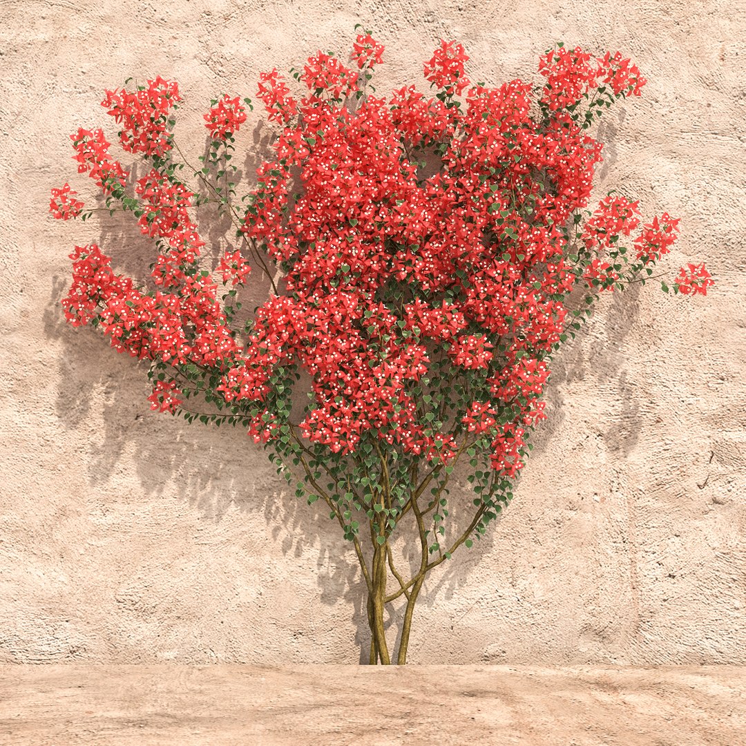 set bougainvillea 2 max https://p.turbosquid.com/ts-thumb/rl/RJPK8V/Er5Fvn3q/11/jpg/1468197255/1920x1080/fit_q87/22d350bec1ee1c8c88b1062b4ae590c3cc9a8772/11.jpg