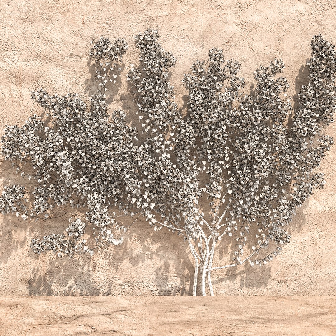 set bougainvillea 2 max https://p.turbosquid.com/ts-thumb/rl/RJPK8V/TuV7ce9K/10/jpg/1468197255/1920x1080/fit_q87/7ecd73484ed35a4c4d03310645ee353b9283fe9f/10.jpg