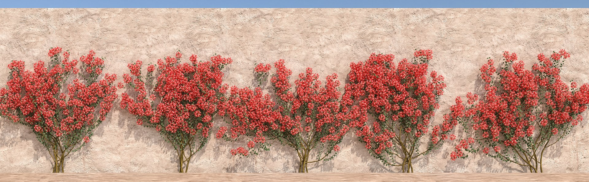 set bougainvillea 2 max https://p.turbosquid.com/ts-thumb/rl/RJPK8V/WIMS0Idw/4/jpg/1468197255/1920x1080/fit_q87/403d381c88fd21968481bd74a5f172bca444fedf/4.jpg