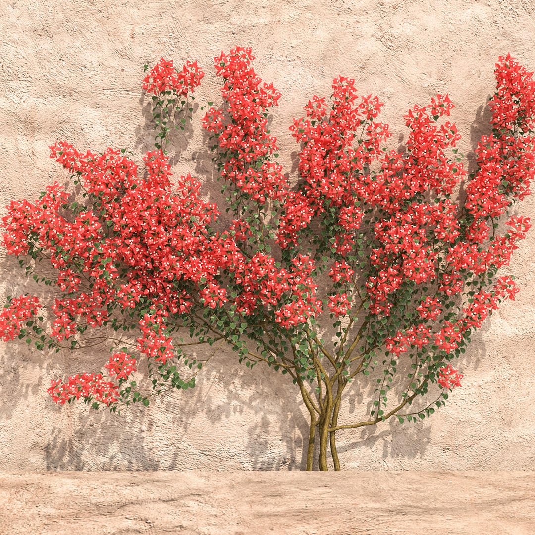 set bougainvillea 2 max https://p.turbosquid.com/ts-thumb/rl/RJPK8V/d3HBHzmD/9/jpg/1468197255/1920x1080/fit_q87/dcfac8465ccd7a74a3e566ae7994316089c81fc8/9.jpg