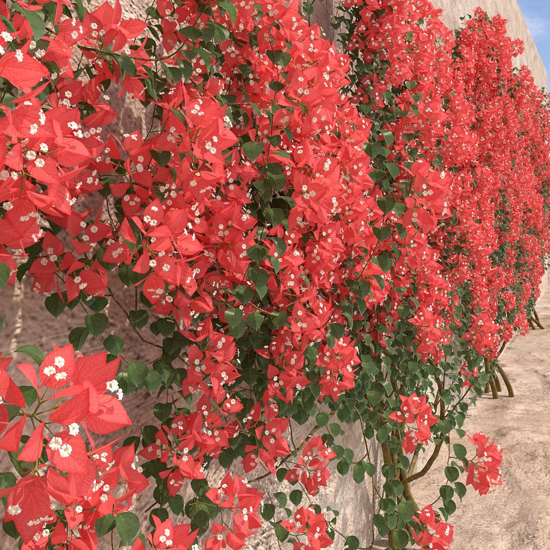 set bougainvillea 2 max https://p.turbosquid.com/ts-thumb/rl/RJPK8V/doVsIfE7/3/jpg/1468197255/1920x1080/fit_q87/40ff5dbe4abab63c0f48b9bdcd2420bb4eb6a8a8/3.jpg