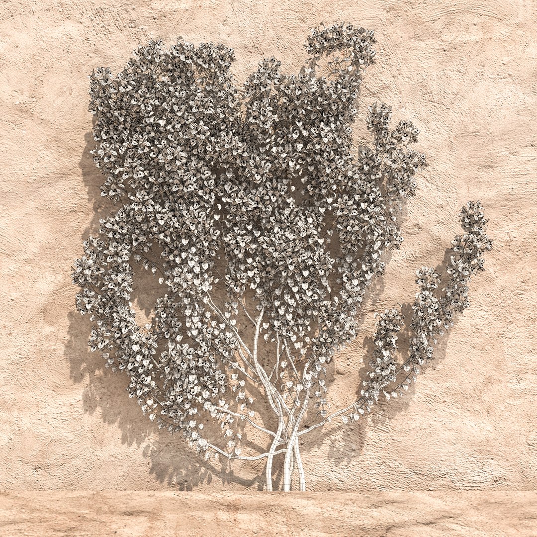 set bougainvillea 2 max https://p.turbosquid.com/ts-thumb/rl/RJPK8V/kvlHHA9u/8/jpg/1468197255/1920x1080/fit_q87/c16841b6222422a25705e02948f5932e4646f10c/8.jpg