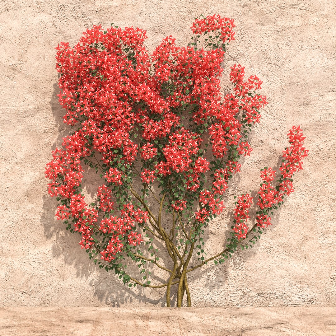 set bougainvillea 2 max https://p.turbosquid.com/ts-thumb/rl/RJPK8V/oKMUlSZX/7/jpg/1468197255/1920x1080/fit_q87/4b576ad10423b6fa6e4f9871888ab941d6ae11ac/7.jpg