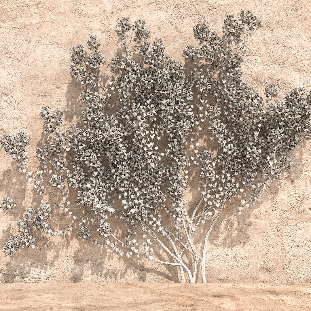 set bougainvillea 2 max https://p.turbosquid.com/ts-thumb/rl/RJPK8V/t7F9XGO7/6/jpg/1468197255/1920x1080/fit_q87/8376182877bb86ba0f9a6acc33c87aa27cb56094/6.jpg