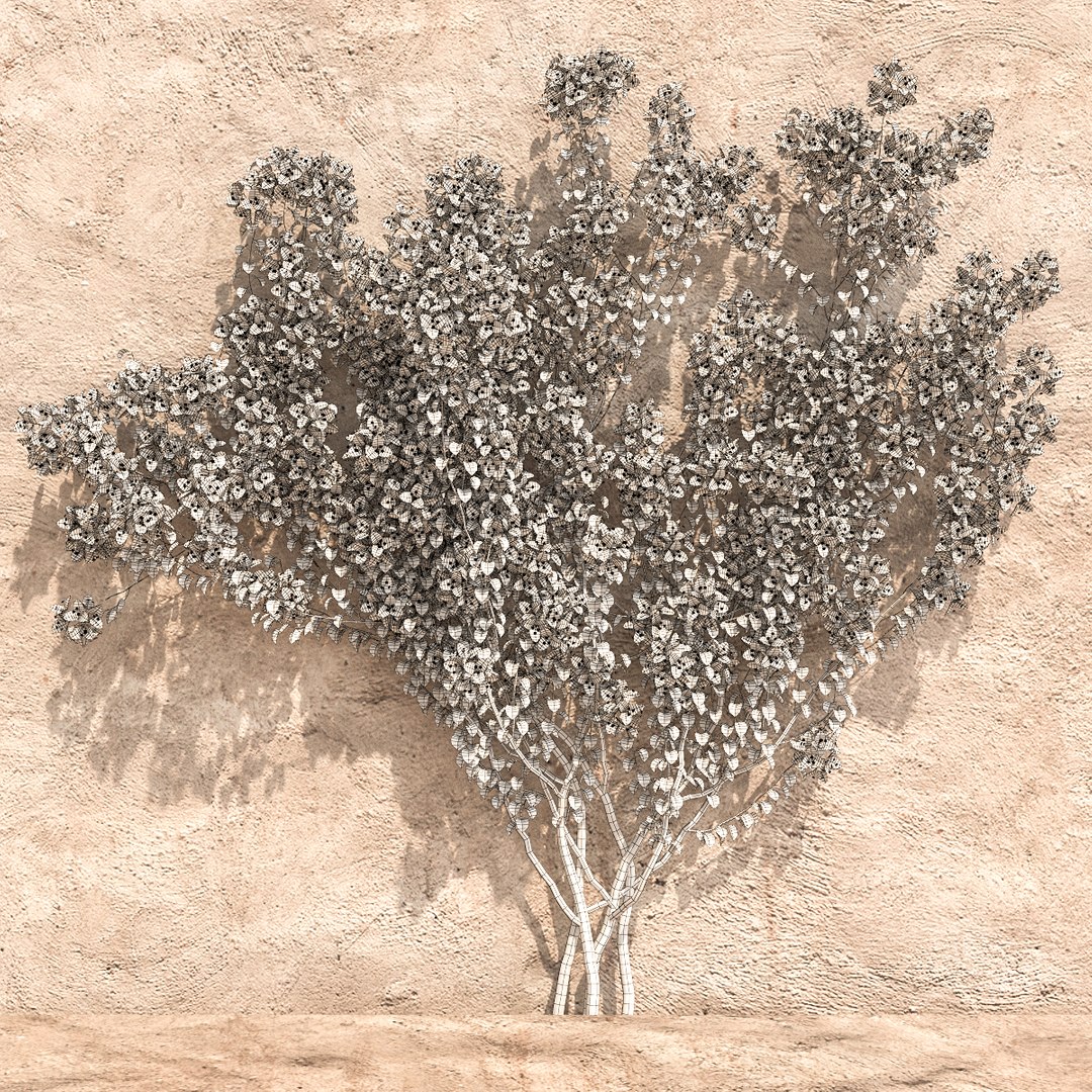 set bougainvillea 2 max https://p.turbosquid.com/ts-thumb/rl/RJPK8V/z7NU7sJR/15/jpg/1468197255/1920x1080/fit_q87/f3cc173f731faffe899cc7b5a2601923440e9b21/15.jpg