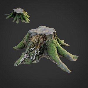 scanned nature tree stump 3D model