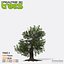 Realtime 3D Trees XL - 16 Pack