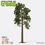 Realtime 3D Trees XL - 16 Pack