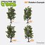 Realtime 3D Trees XL - 16 Pack