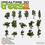 Realtime 3D Trees XL - 16 Pack