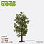 Realtime 3D Trees XL - 16 Pack