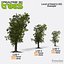 Realtime 3D Trees XL - 16 Pack