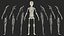 Anatomie du corps du jeune homme sans muscles
