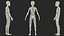 Anatomie du corps du jeune homme sans muscles