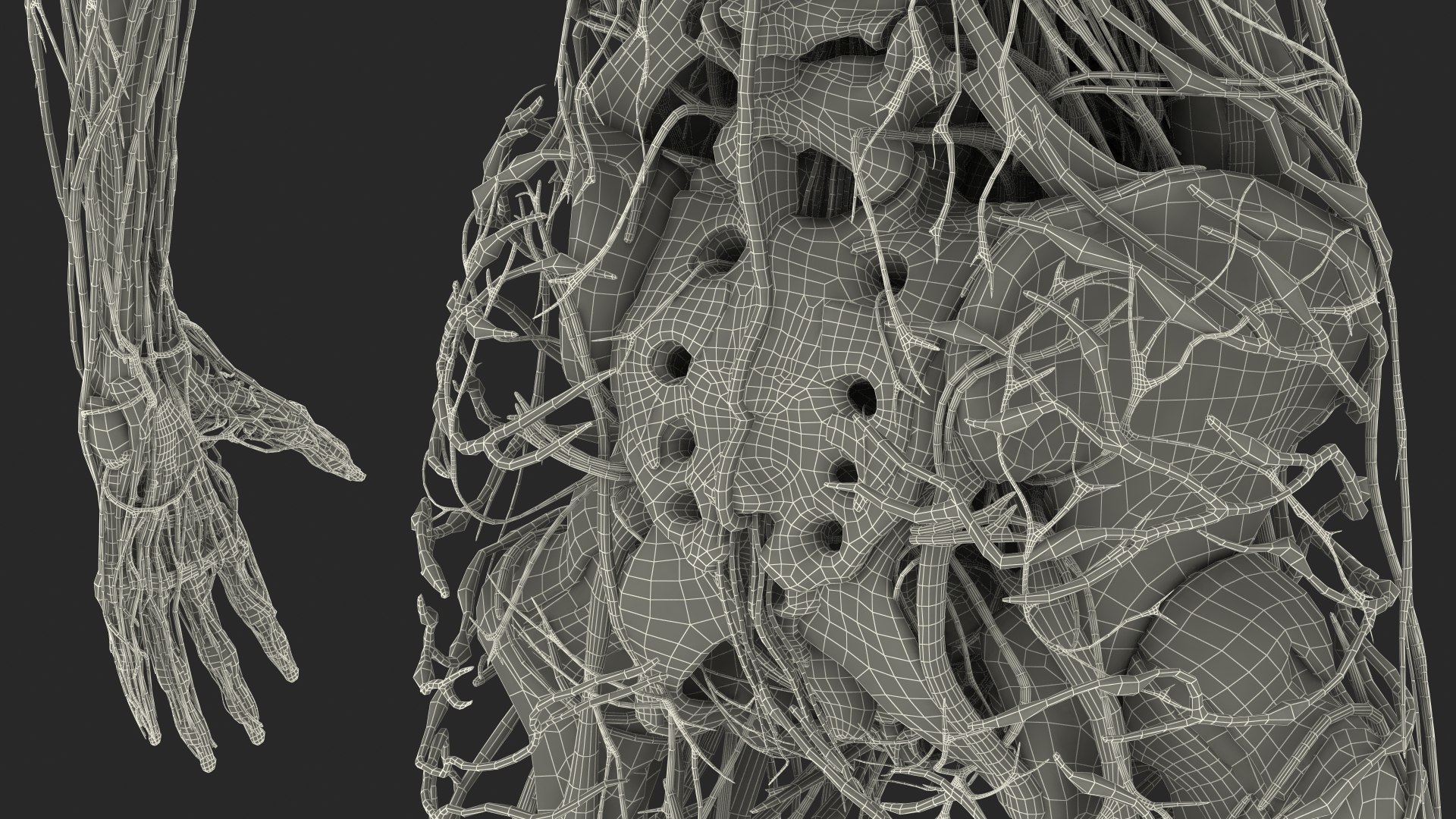 Young Man Body Anatomy without Muscles 3D model https://p.turbosquid.com/ts-thumb/rm/9QBMIj/4y/youngmanbodyanatomywithoutmusclesmb3dmodel096/jpg/1641754915/1920x1080/fit_q87/8e9791b07e5306c237133f7304800e2d9ef7ca03/youngmanbodyanatomywithoutmusclesmb3dmodel096.jpg