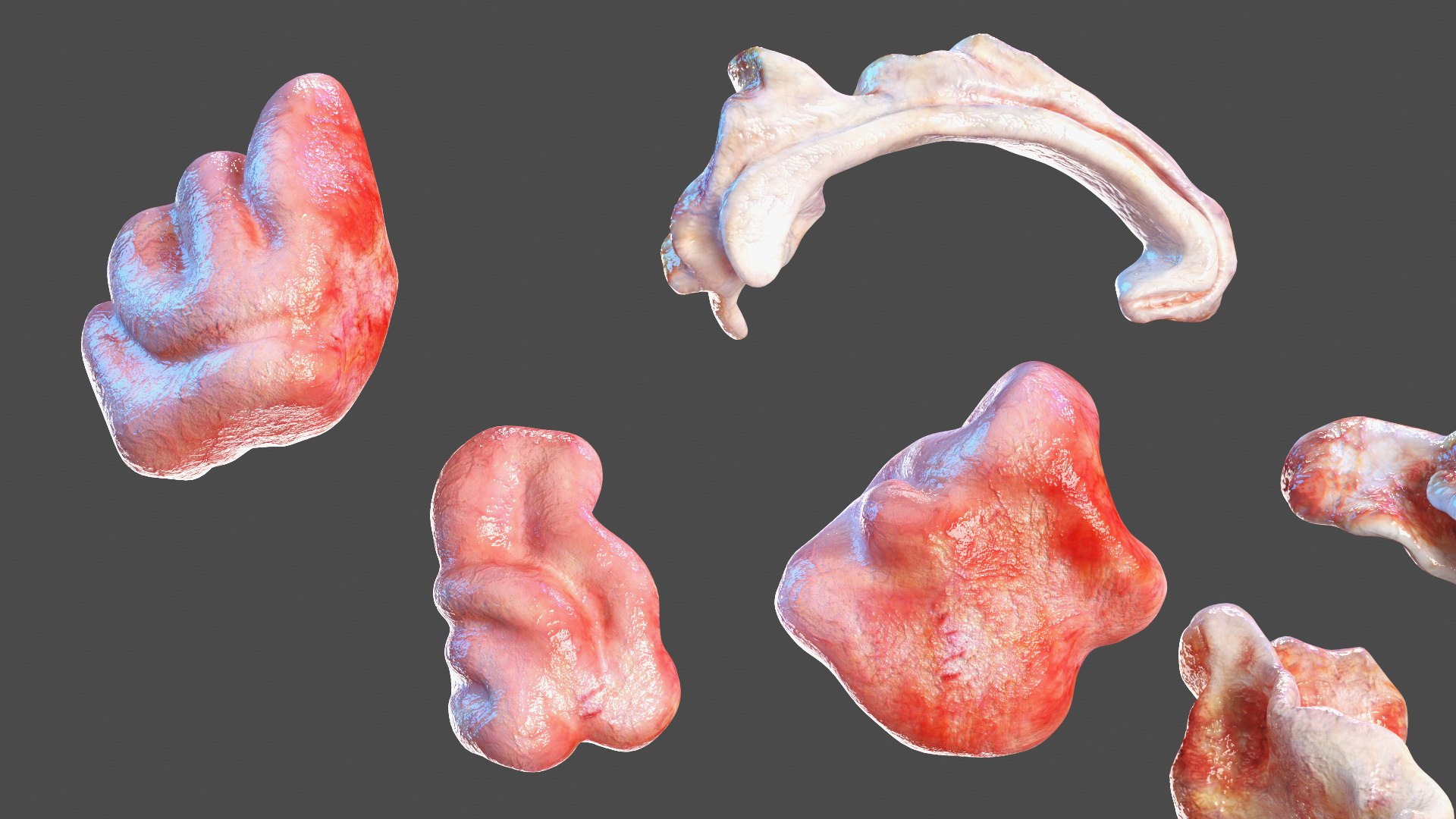 Young Man Body Anatomy without Muscles 3D model https://p.turbosquid.com/ts-thumb/rm/9QBMIj/8Q/youngmanbodyanatomywithoutmusclesmb3dmodel049/jpg/1641754805/1920x1080/fit_q87/aeac7a80a617c8a347535448399f02ecffc36a00/youngmanbodyanatomywithoutmusclesmb3dmodel049.jpg