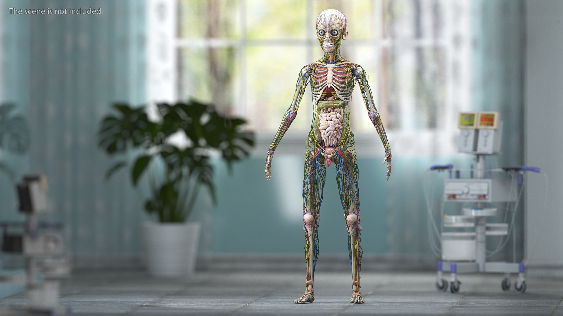 Young Man Body Anatomy without Muscles 3D model https://p.turbosquid.com/ts-thumb/rm/9QBMIj/8r/youngmanbodyanatomywithoutmusclesmb3dmodel002/jpg/1641754671/1920x1080/fit_q87/fce2399ee8a1095d97db17bedb24f7cd4d8cc2f6/youngmanbodyanatomywithoutmusclesmb3dmodel002.jpg