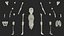 Anatomie du corps du jeune homme sans muscles