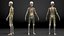Anatomie du corps du jeune homme sans muscles