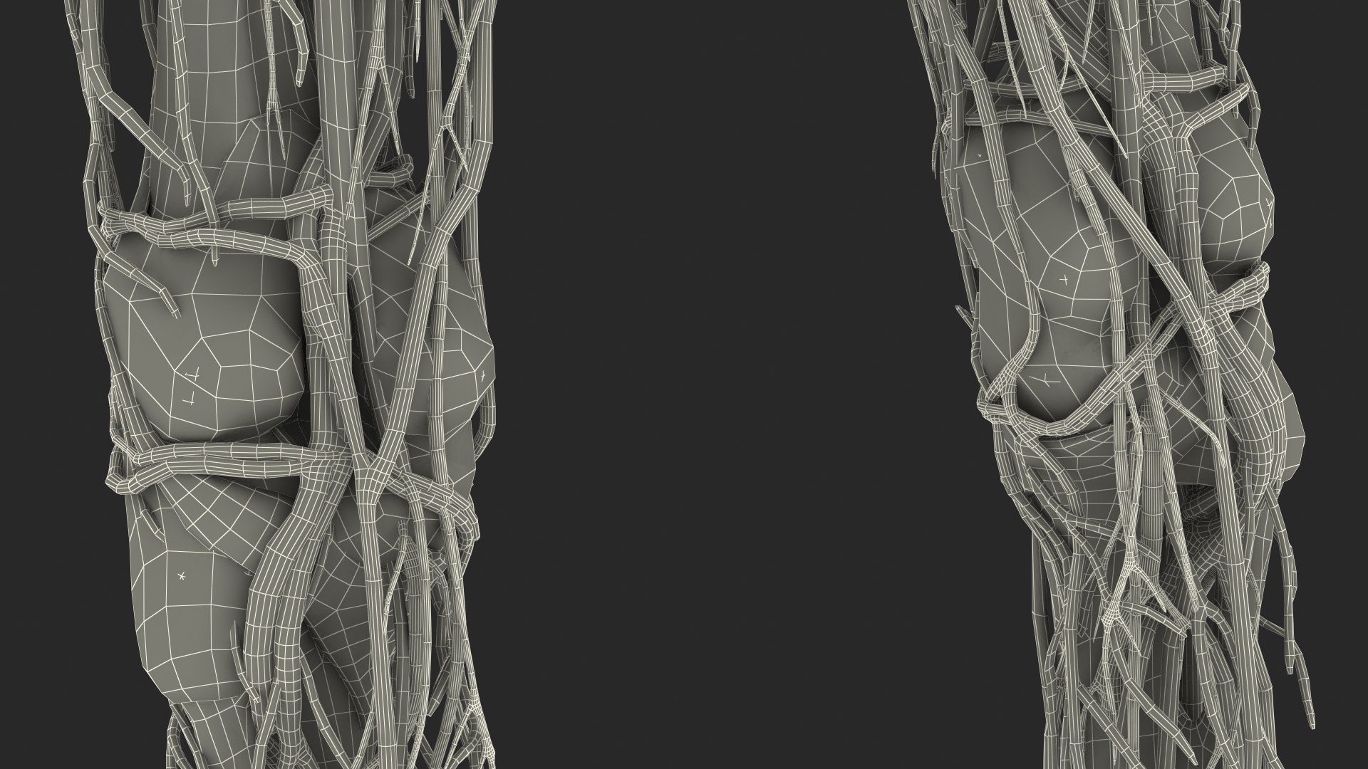 Young Man Body Anatomy without Muscles 3D model https://p.turbosquid.com/ts-thumb/rm/9QBMIj/VI/youngmanbodyanatomywithoutmusclesmb3dmodel097/jpg/1641754918/1920x1080/fit_q87/c4de7a53be98148e3f23871fd853b81618d9d7ec/youngmanbodyanatomywithoutmusclesmb3dmodel097.jpg