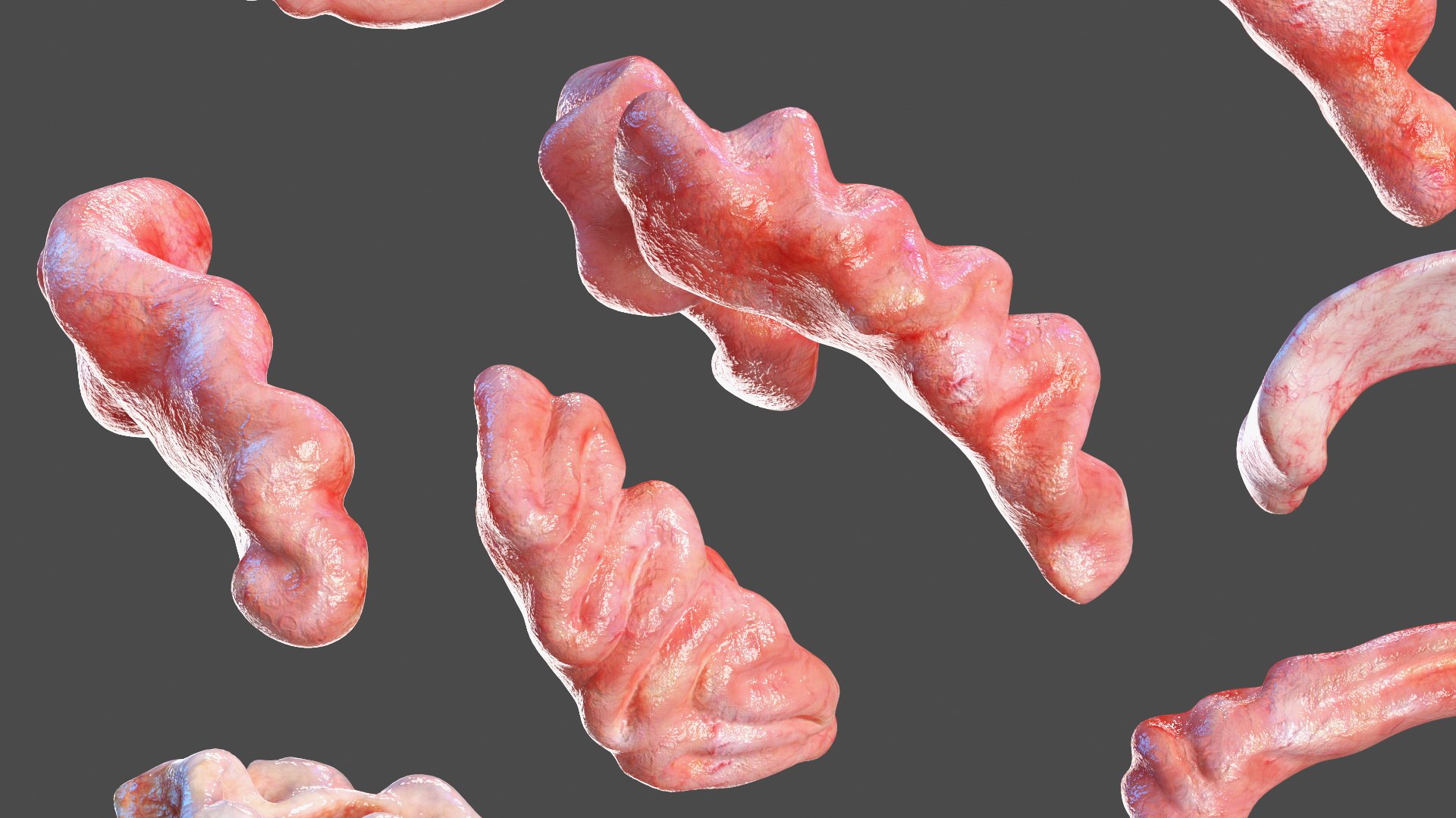 Young Man Body Anatomy without Muscles 3D model https://p.turbosquid.com/ts-thumb/rm/9QBMIj/XG/youngmanbodyanatomywithoutmusclesmb3dmodel051/jpg/1641754808/1920x1080/fit_q87/ebc9bfc9041f73af96a9a8f1650d61bede5084f7/youngmanbodyanatomywithoutmusclesmb3dmodel051.jpg