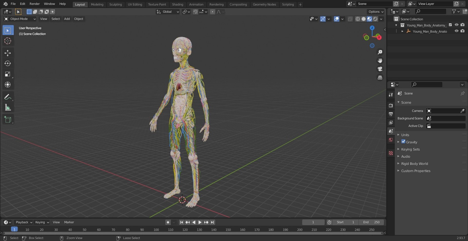 Young Man Body Anatomy without Muscles 3D model https://p.turbosquid.com/ts-thumb/rm/9QBMIj/mz/youngmanbodyanatomywithoutmusclesmb3dmodel088/jpg/1641754891/1920x1080/fit_q87/10befead9dfbe0020024a8c92fa389ca93febc22/youngmanbodyanatomywithoutmusclesmb3dmodel088.jpg