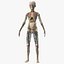 Anatomie du corps du jeune homme sans muscles