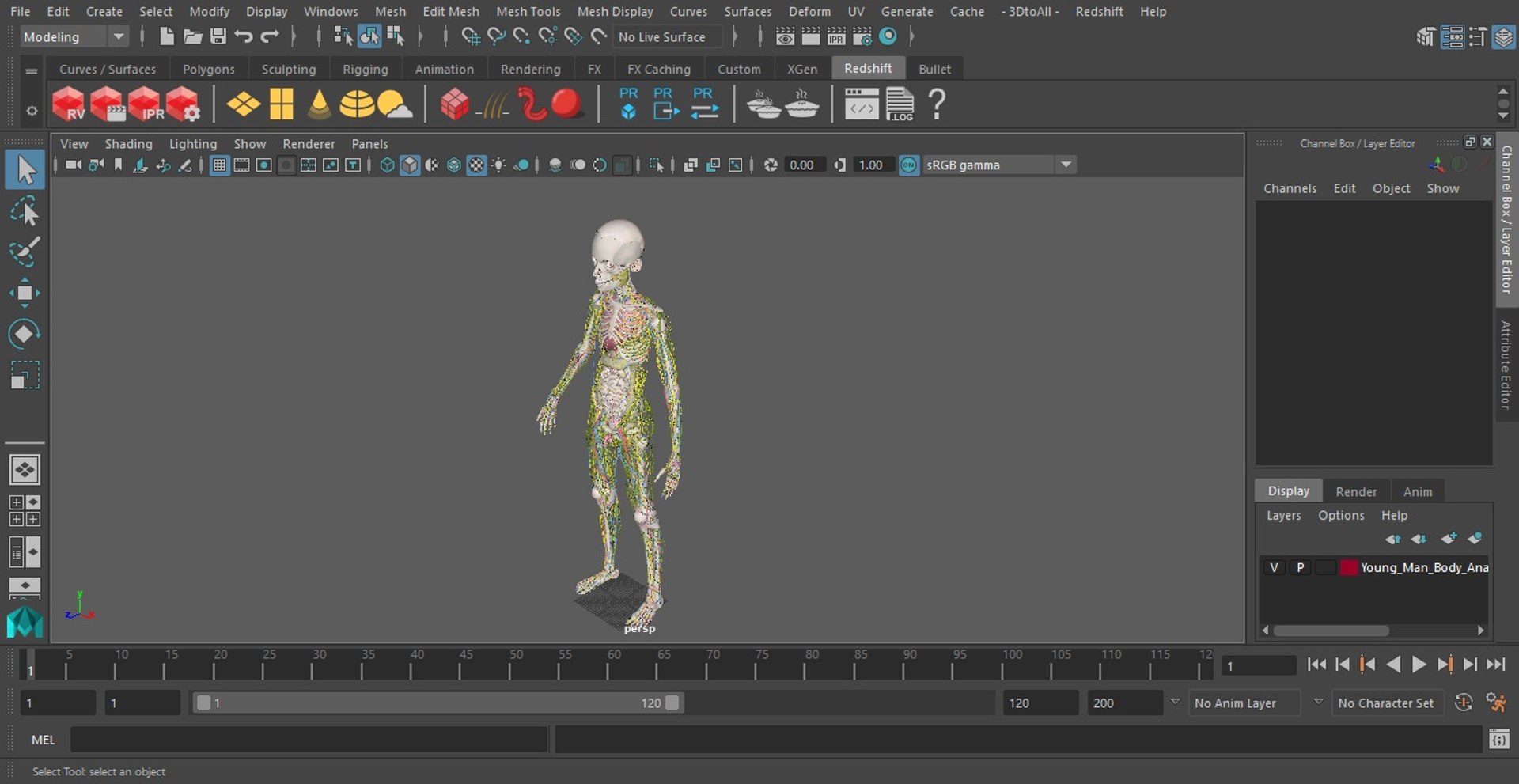 Young Man Body Anatomy without Muscles 3D model https://p.turbosquid.com/ts-thumb/rm/9QBMIj/ql/youngmanbodyanatomywithoutmusclesmb3dmodel091/jpg/1641754900/1920x1080/fit_q87/91f34a3c2ea3b9ade6eb83debfac5055cd74566e/youngmanbodyanatomywithoutmusclesmb3dmodel091.jpg